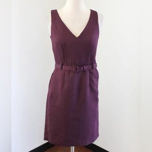 Maroon Sheath Polka Dot Embossed Belted Dress
